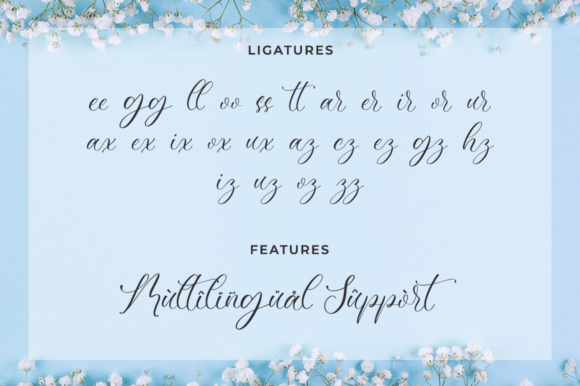 Canedice Font Poster 11