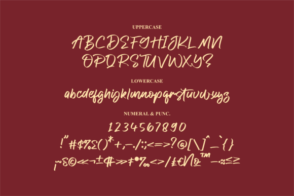 Canesster Font Poster 13