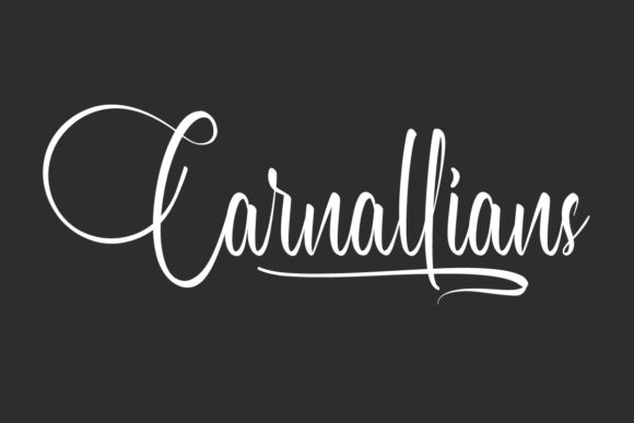 Carnallians Font Poster 1
