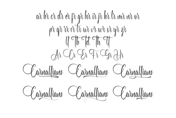 Carnallians Font Poster 5