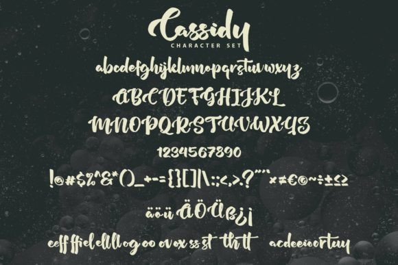 Cassidy Font Poster 4