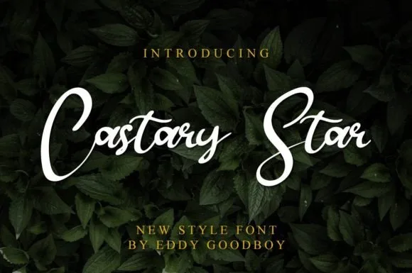 Castary Star Font Castary Star Font Poster 1
