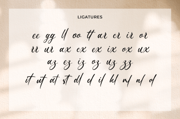 Castenivey Font Poster 11
