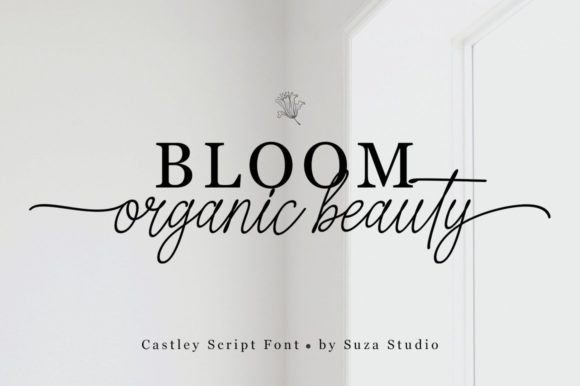 Castley Font Poster 5