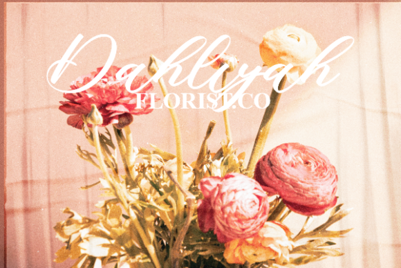 Cataleya Maddison Font Poster 16