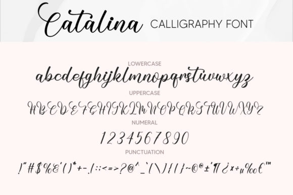 Catalina Font Poster 6