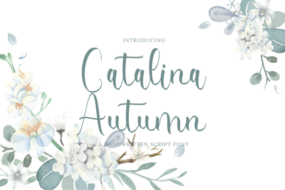 Catalina Autumn Font Poster 1