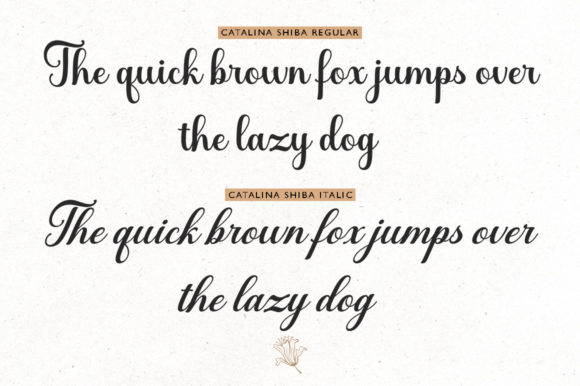 Catalina Shiba Font Poster 8