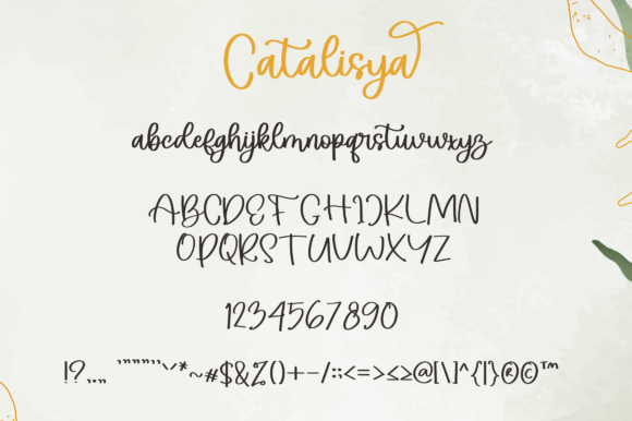 Catalisya Font Poster 7