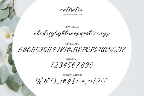 Cathalia Font Poster 6