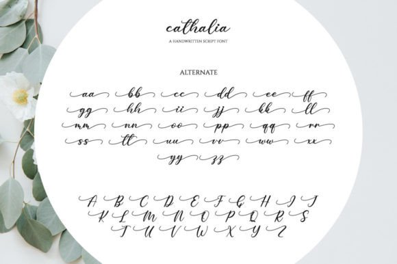 Cathalia Font Poster 7