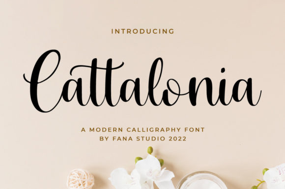 Cattalonia Font Poster 1