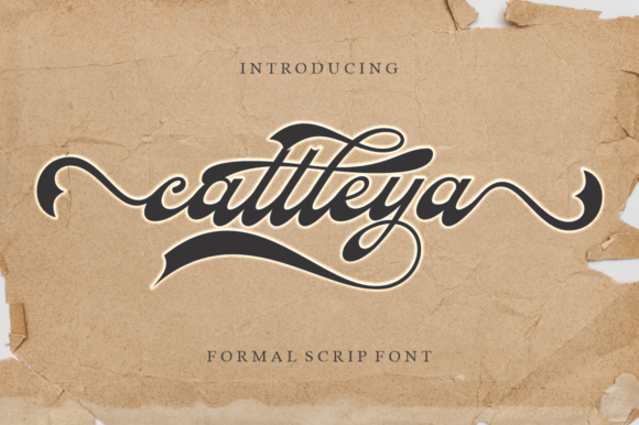 Cattleya Font