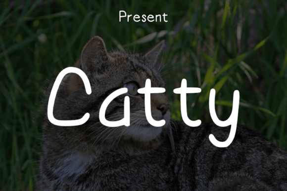 Catty Font Poster 1