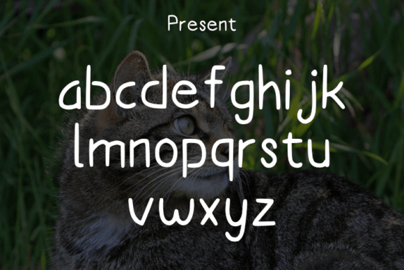 Catty Font Poster 3