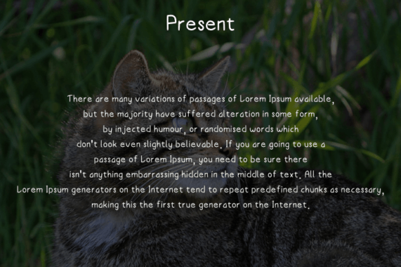 Catty Font Poster 4