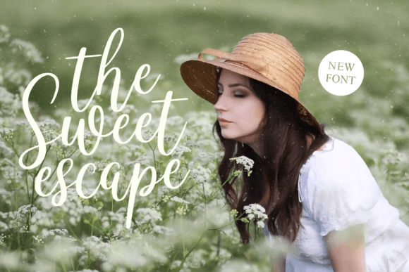 Celineharp Font Poster 3