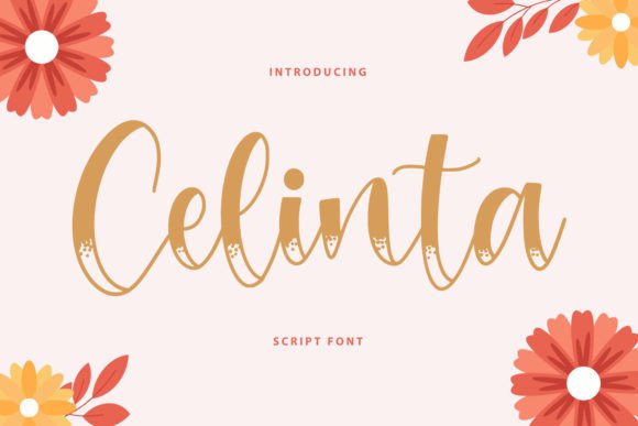 Celinta Font Poster 1