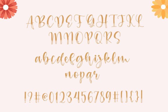 Celinta Font Poster 3