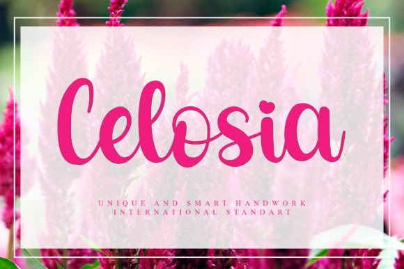 Celosia Font Poster 1