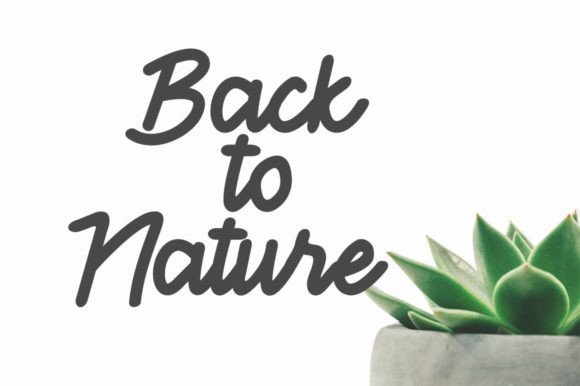 Cemara Font Poster 2