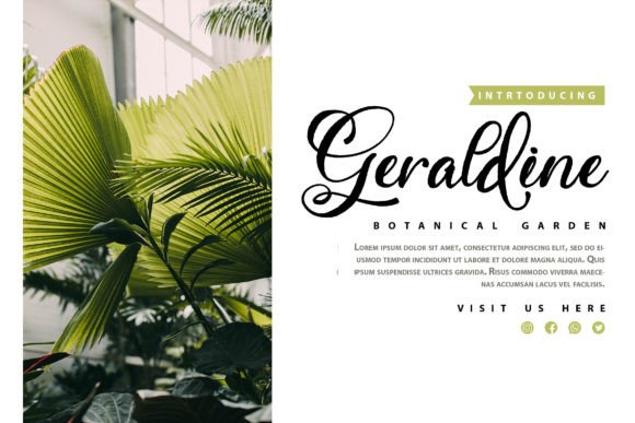 Centaury Font Poster 3