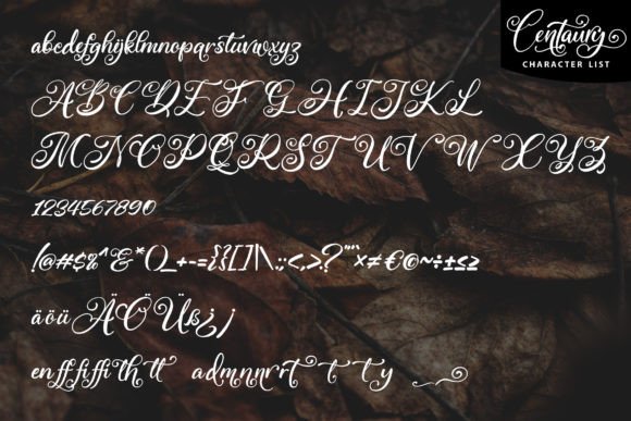 Centaury Font Poster 5