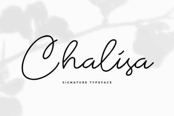 Chalisa Font Poster 1