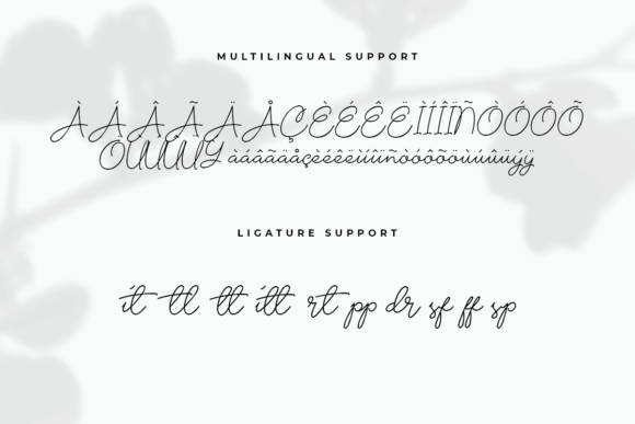 Chalisa Font Poster 8