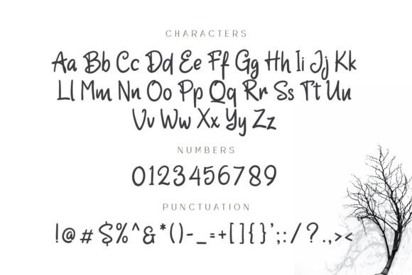Chantego Font Poster 4