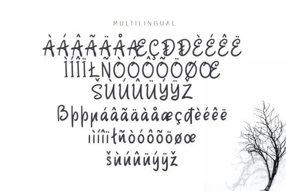 Chantego Font Poster 5