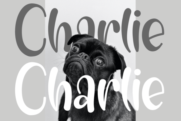 Charlie Font Poster 1