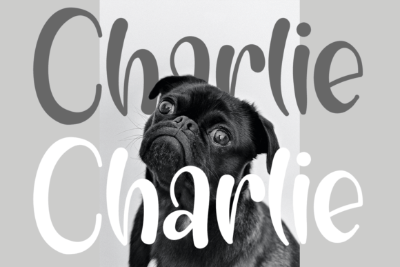 Charlie Font