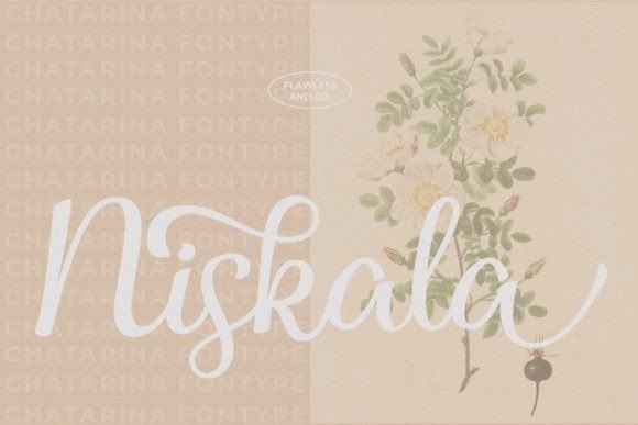 Chatarina Font Poster 4