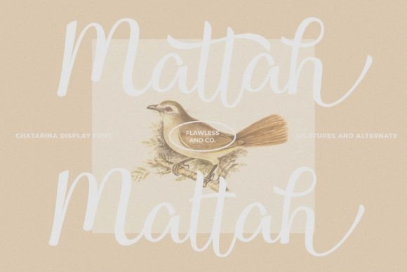 Chatarina Font Poster 6