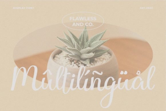 Chatarina Font Poster 9