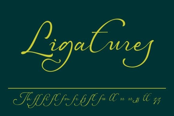 Checillonia Font Poster 11
