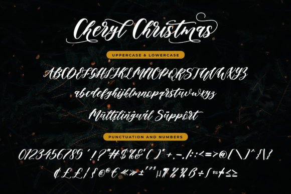 Cheryl Christmas Font Poster 5