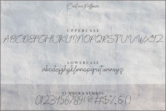 Christine Pallmer Font Poster 6