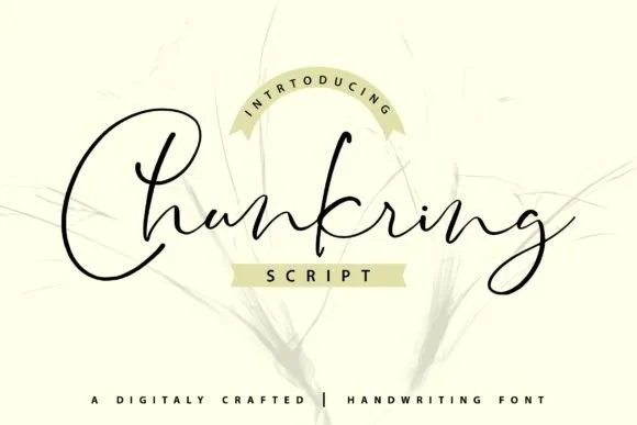 Chunkring Font Chunkring Font Poster 1