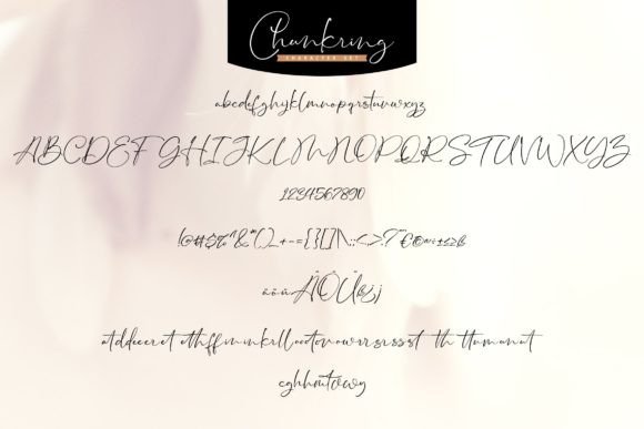 Chunkring Font Poster 5