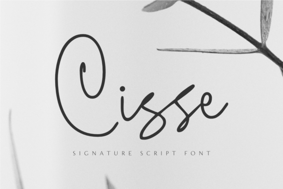 Cisse Font