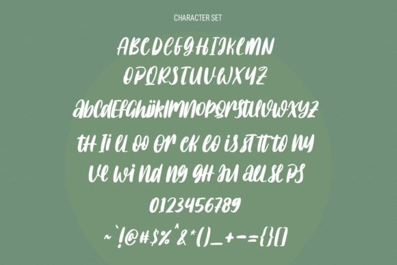 Citrus Tonic Font Poster 8