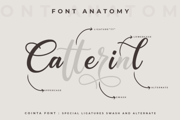 Cointa Font Poster 2