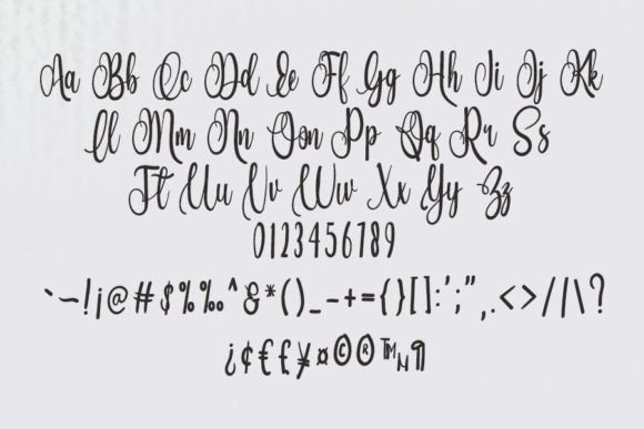 Colega Font Poster 4