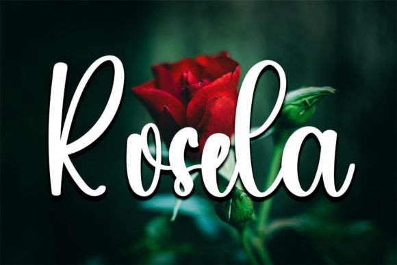 Colla Font Poster 4