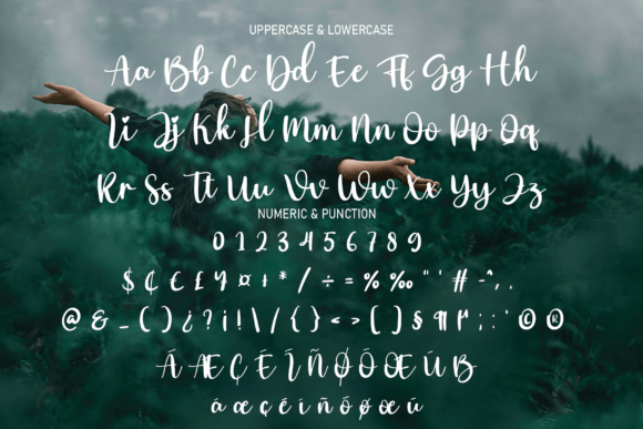 Comming Font Poster 7