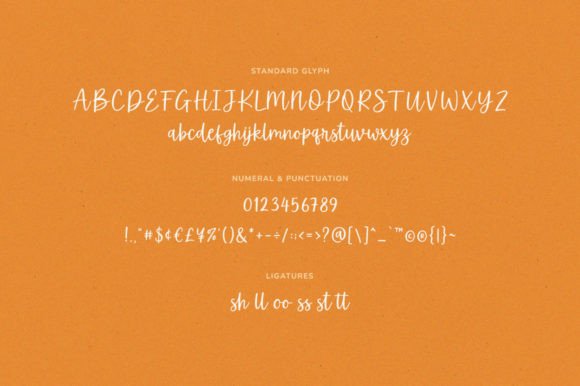 Common Orange Font Poster 6