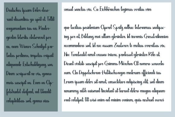 Competence Font Poster 7