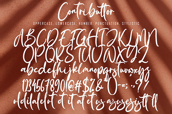 Conntributor Font Poster 7